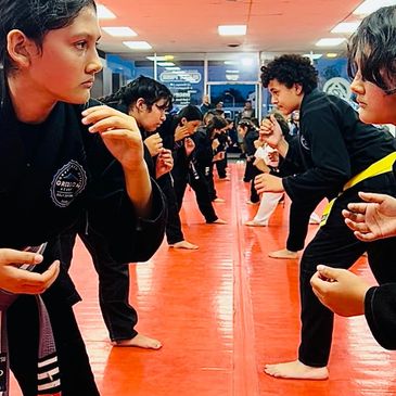 group of  brazilian jiu jitsu, bully proof, bullying stops here, self defense classes near La mirada