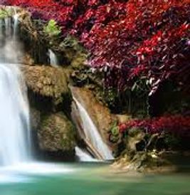 A waterfall with red foliage and rocks.