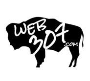 WEb 307.com