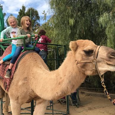 two youngsters riding a camel.  Smiles for miles!