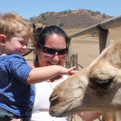 Mom holding young son who gently pets camel with one finger.  So sweet!
