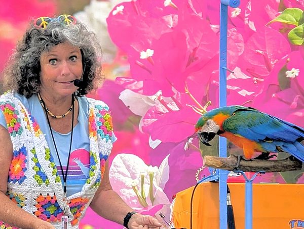 Nancy Riegler's Bird Show performing at the San Diego County Fair.  Nancy with Squeak the Macaw.