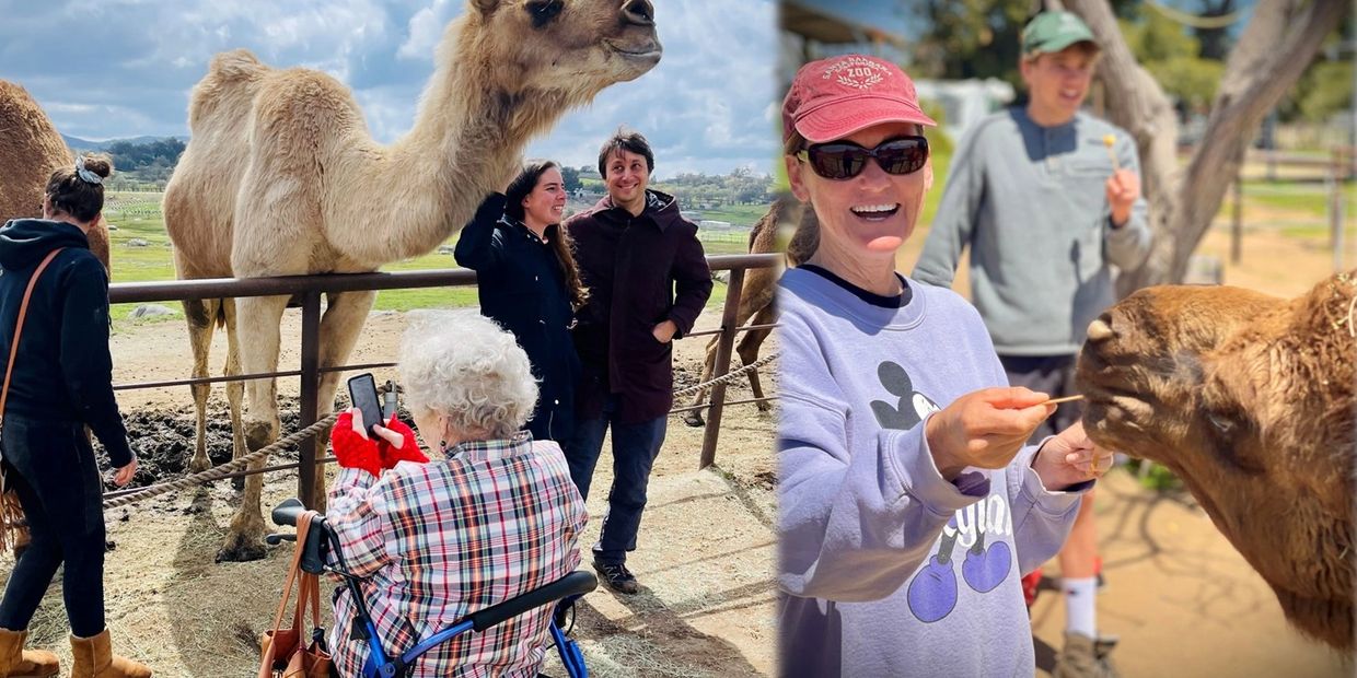 guests during a meet the camels encounter enjoy a 30 minute close-up connection.
