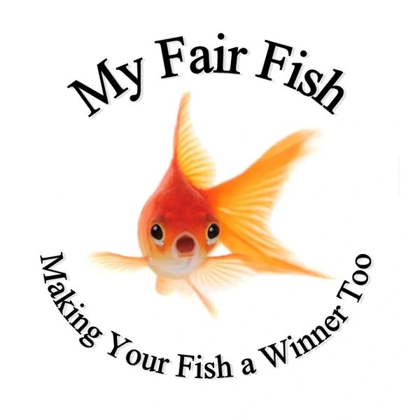 goldfish, my fair goldfish, myfairgoldfish, carnival gold fish, how to care for your goldfish