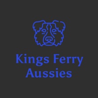 Kings Ferry Aussies
