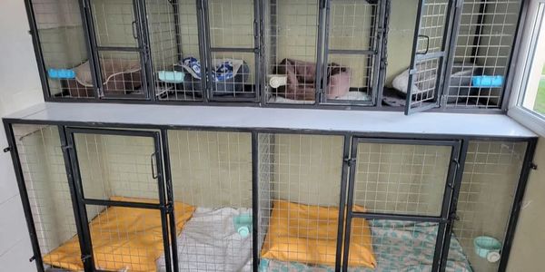 These are the new galvanize steel Kennels 