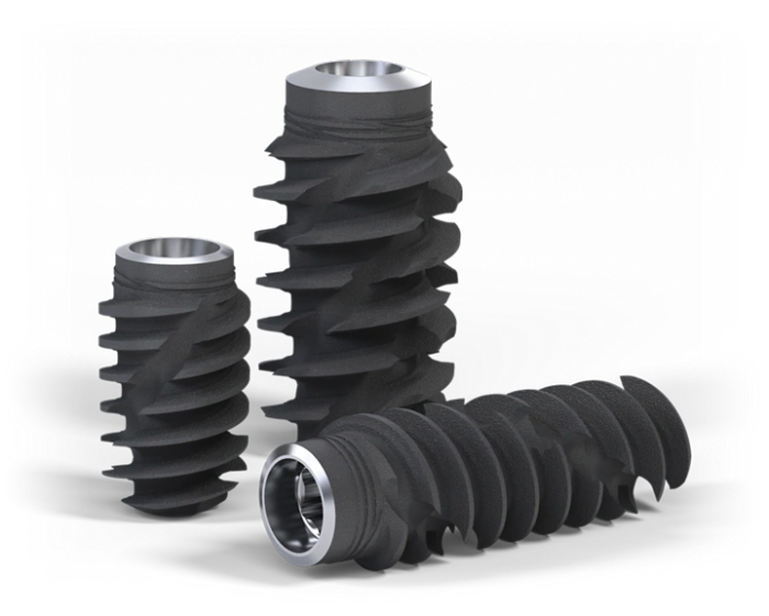 Dental implant model