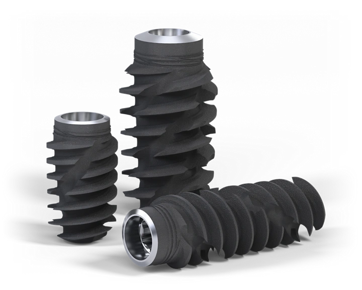 Dental implant model showing implant components