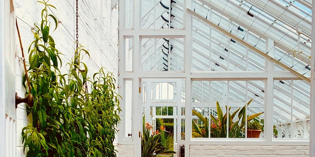 A Clean Conservatory