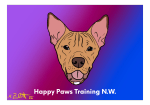 Happy Paws Training
