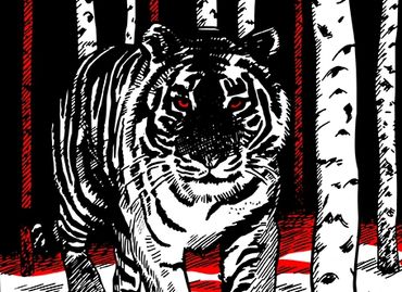 White Siberian Tiger Russian illustration Jacob Stoltz taiga Amur