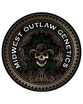 MOG Seeds
aka
Midwest Outlaw Genetics