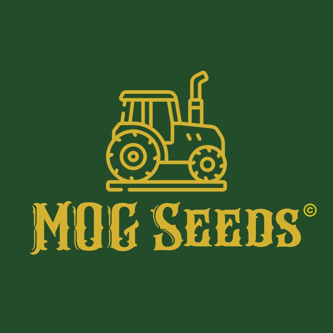 Logo de MOG Seeds