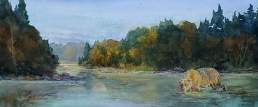 Grizzly on the Flathead - 17" x 7 "  watercolor