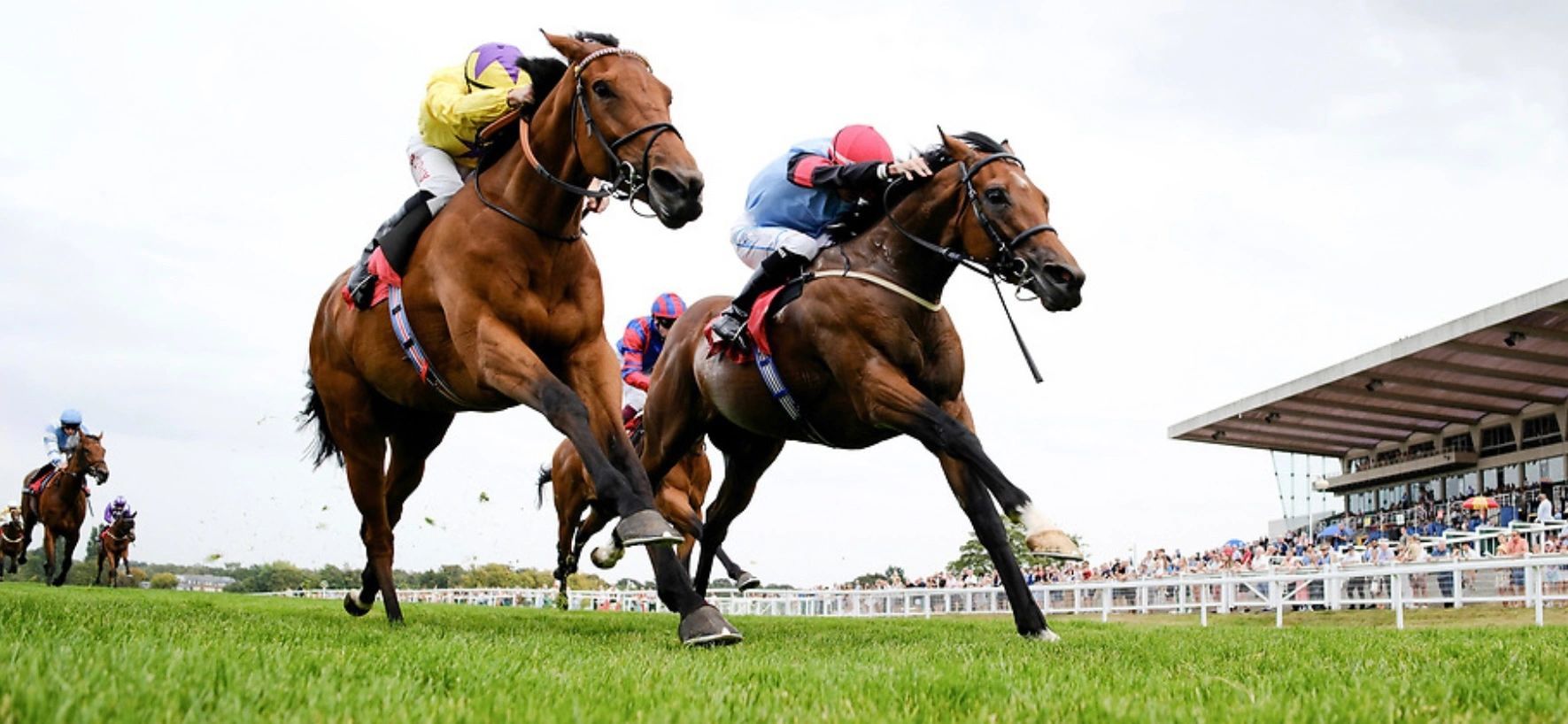 Two jockeys racing on horses at a horse racing track with spectators.