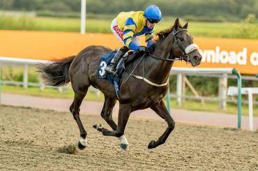 Jockey in blue and yellow racing a dark horse on a track.