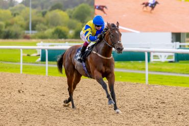 Jockey in blue and yellow racing a horse on a dirt track.