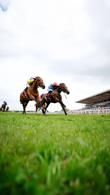 Jockeys race horses on a green track near a grandstand under a cloudy sky.