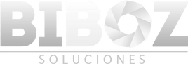 BIBOZ SOLUCIONES