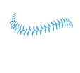 Stadium Dynamics