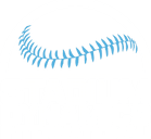 Stadium Dynamics