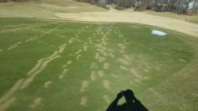 Golf course with patchy grass and shadow of a person taking photo.