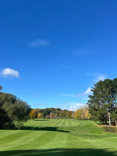 Sunny golf course with clear blue sky.