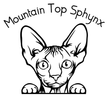Mountain Top Sphynx