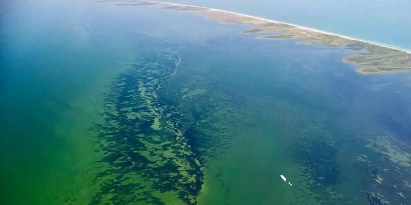 Chandeleur Island fishing charter Mothership fishing charter guide private charter all inclusive