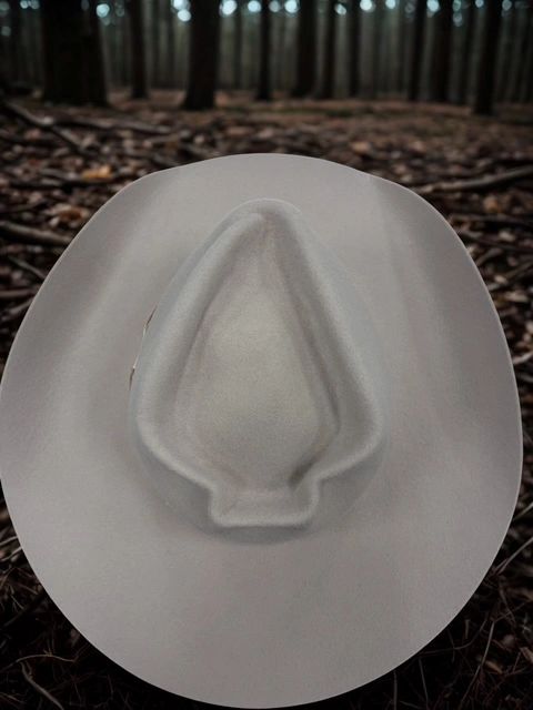 A white cowboy hat resting on the forest floor among pine needles.