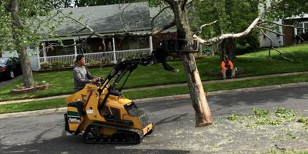 Man operating a small loader lifting a large tree branch.