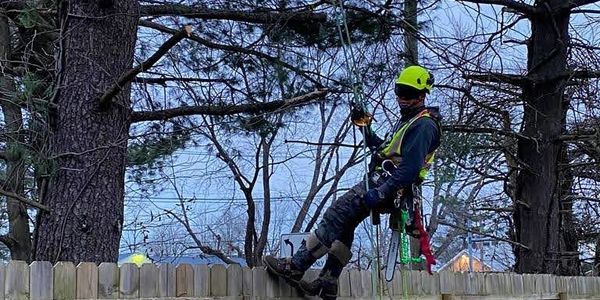 Worker in safety gear rappelling down a fence.