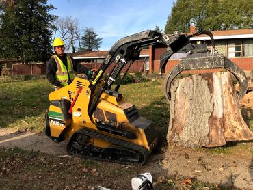 Expert Tree Removal & Tree Services in Philadelphia • Free Estimates Available
