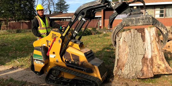 Worker operating a stump grinder on a tree stump.