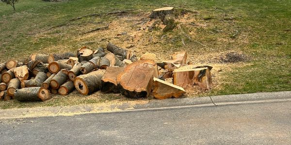 Cut tree logs stacked near a stump on grass.