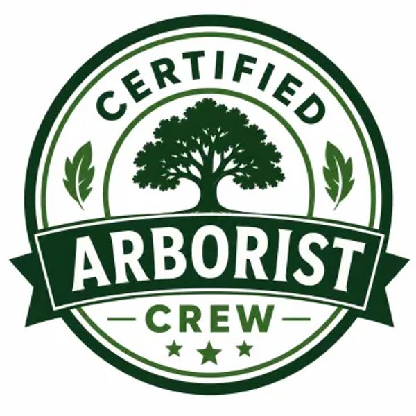 Certified Arborist in Philadelphia 
