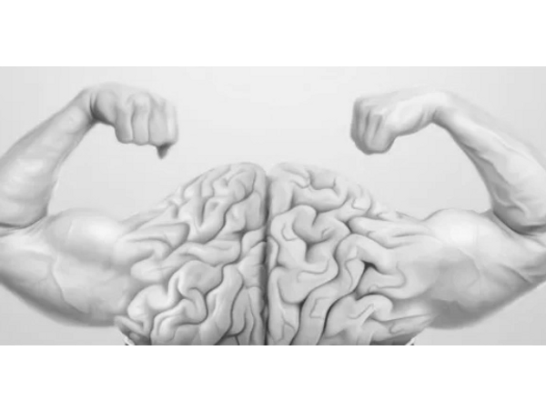 The power of the mind and the importance of the mind / muscle connection. 