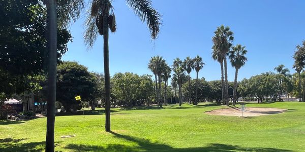 A sunny disc golf course with palm trees and a sand trap basket.