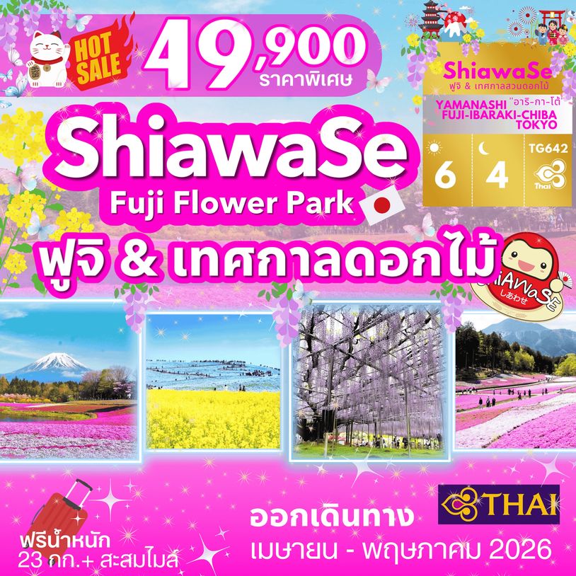 ทัวร์ญี่ปุ่น เทศกาลดอกไม้ ทุ่งดอกชิบะซากุระฟูจิ