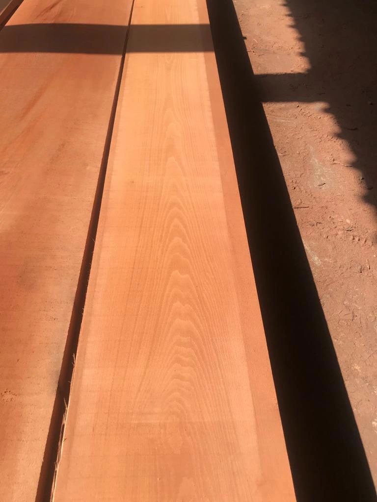 Beech Timber / Wet / Grade AA