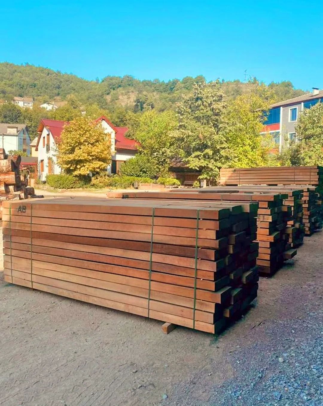 Beech Timber / Grade: AB