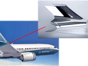 Winglet Leading Edge