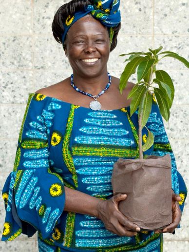 Wangari Maathai