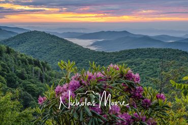 Sunset over misty mountain ranges with blooming purple flowers in the foreground.
