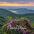 Sunset over misty mountain ranges with blooming purple flowers in the foreground.