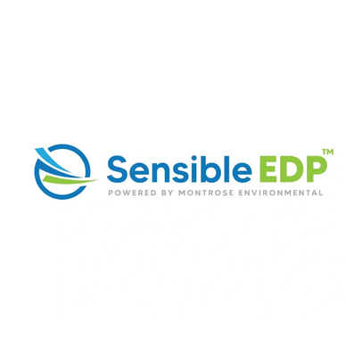 Sensible Logo