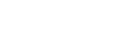 NetSuite AI