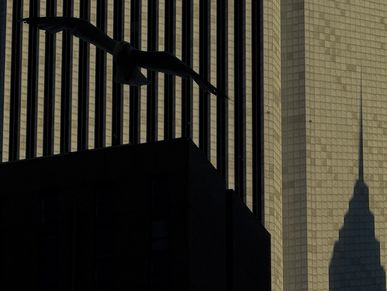 Photography: Georgea Costa Netto  @georgeanlart #georgeanolimits #chicago