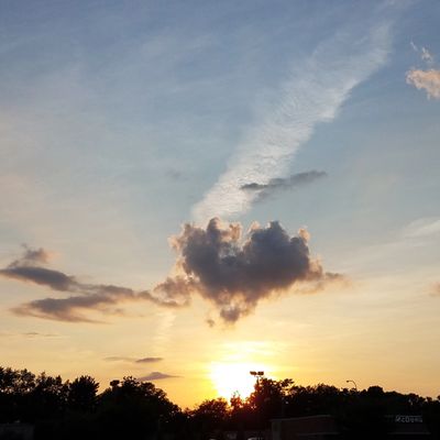 Heart-shaped cloud above the setting sun with treeline below