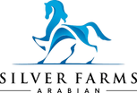 SILVER FARMS